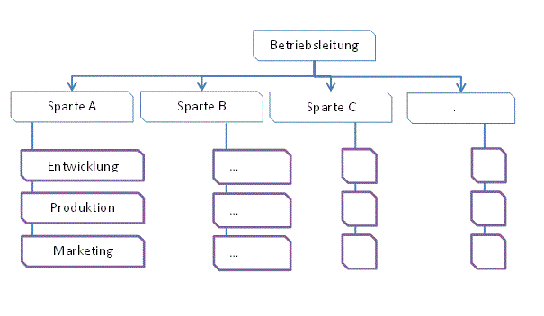 Spartenorganisation